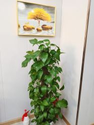 -康容堂·专业祛痘·皮肤管理中心