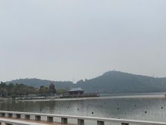 -顺峰山公园