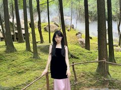 -玉苍山国家森林公园