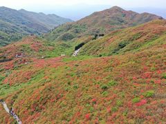 -大围山国家森林公园