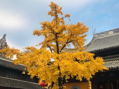 -龙华寺