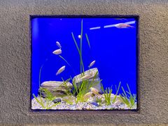 -上海海洋水族馆
