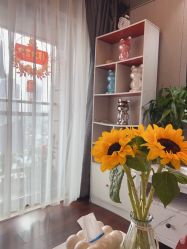 -哈颜科技轻美·