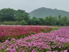 -南北湖风景区