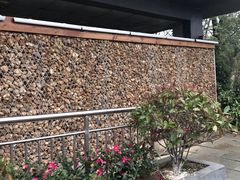 -瑶湖郊野森林公园
