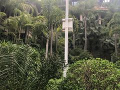 -广州都喜泰丽温泉度假酒店