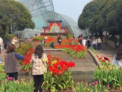 -南山植物园