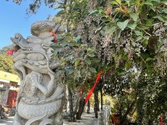 -宝通禅寺