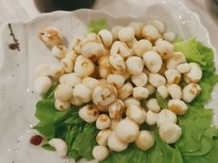-同仁四季椰子鸡(福田东园总店)