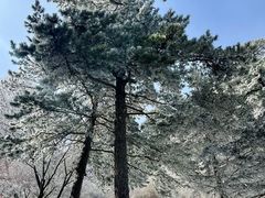 -华山风景名胜区