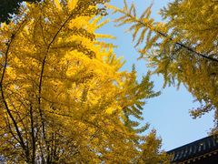 -四川大学(华西校区)