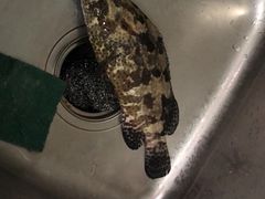 -江杨农产品批发市场