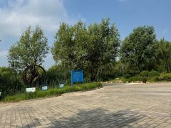-绿堤公园