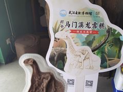 -武汉园博园(武汉自然博物馆)