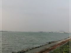 -海鸥岛