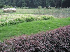 -广州市干部健康管理中心