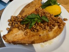 -NORDSEE Frankfurt Fisch Franke