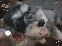 -纳吉亚猫专科动物医院·北北分院
