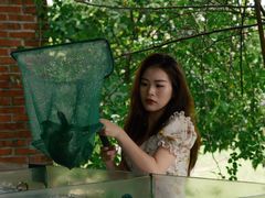 -兴隆槟榔园休闲农庄