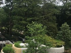 -三鹰之森吉卜力美术馆