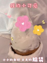 -SILKTONE诗丽堂美容