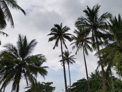 -石梅湾