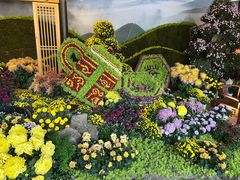 -杭州植物园