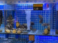 水产区-永红源·啤酒烧烤海鲜大排档(台柳路店)