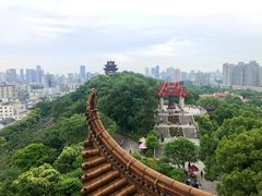 -黄鹤楼公园(黄鹤楼)