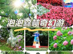 -上海共青森林公园