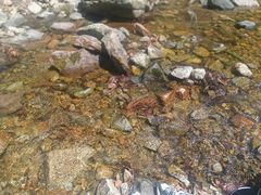 -本溪汤沟绿石谷森林公园