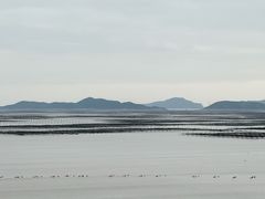 -北岐滩涂