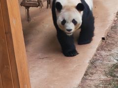 -云南野生动物园