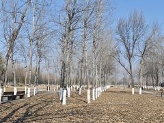 -汉长安城未央宫国家考古遗址公园