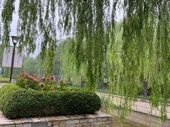 -元大都城垣遗址公园