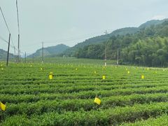 -东钱湖旅游度假区