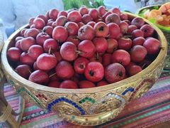 -西双版纳傣族园