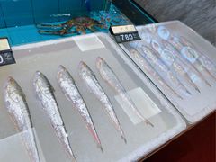 -莆鑫海鲜城(浏河店)