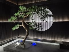 -大拙里·精致融合菜(沙湖桃源国际店)