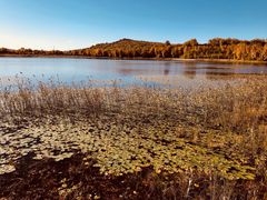 -塞罕坝国家级自然保护区
