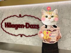 -哈根达斯(芳圆里店)