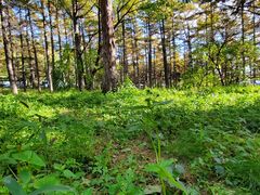 -长春市南湖公园