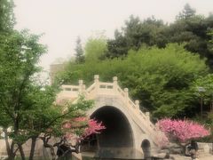 -团结湖公园