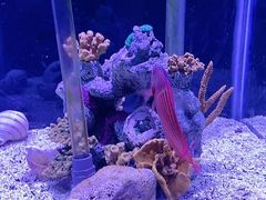 -太平洋海底世界