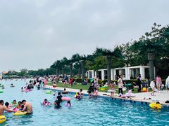 -秦皇岛乐岛海洋王国