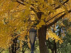 -苏州河梦清园环保主题公园