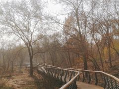 -白水寺森林公园