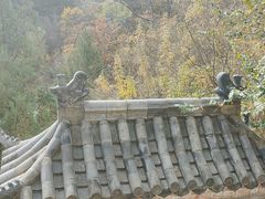 -白水寺森林公园