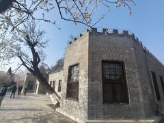 -桃花堤公园