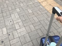 -中央广播电视总台(光华路办公区)